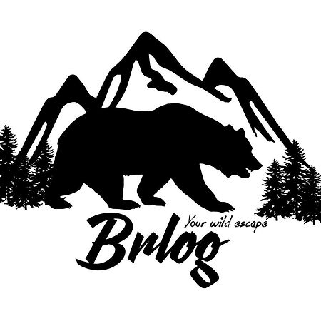 Brlog Apartment Zgornje Gorje Ngoại thất bức ảnh