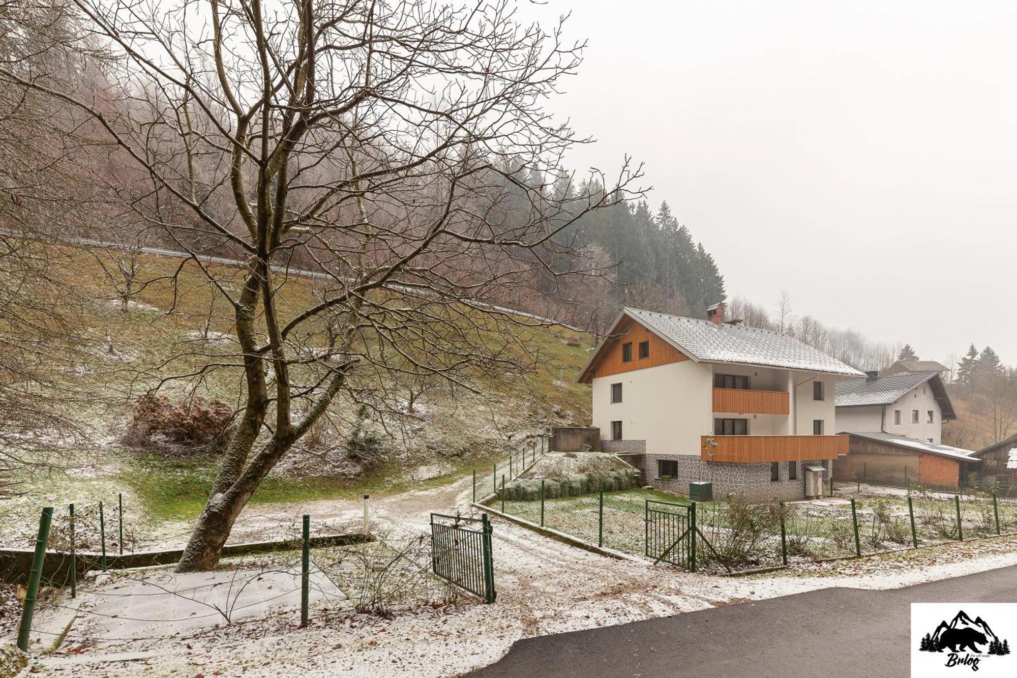 Brlog Apartment Zgornje Gorje Ngoại thất bức ảnh
